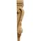 Ekena Millwork 4 3/4"W x 1 3/4"D x 10"H Small Acanthus Pilaster Wood Corbel, Cherry CORW05X02X10PACH - alternate 4